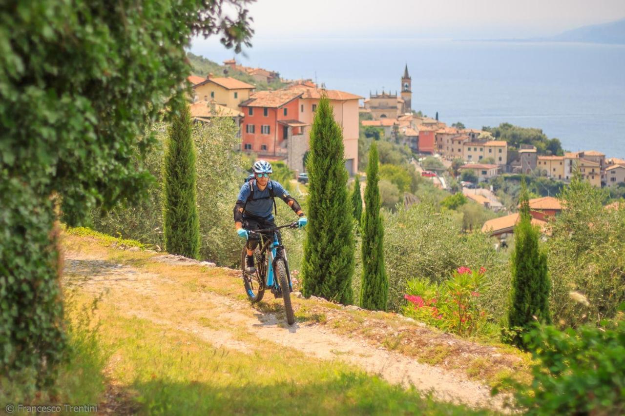 Hotel Danieli La Castellana Lago Di Garda เบรนโซเน ซูล การ์ดา ภายนอก รูปภาพ